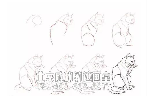 猫的素描结构步骤图17