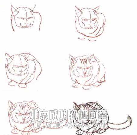 猫的素描结构步骤图13