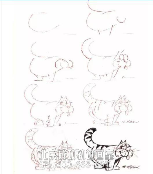 猫的素描结构步骤图2