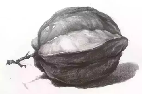 新手入门之素描静物水果蔬菜范画解析