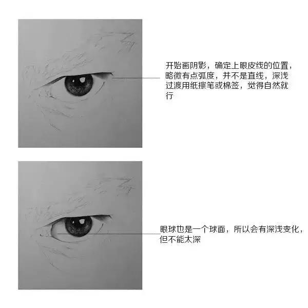 超写实眼睛素描画法步骤图解