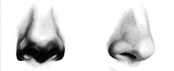 鼻子正面的画法步骤图是什么