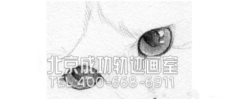 猫怎么画?猫的素描教程