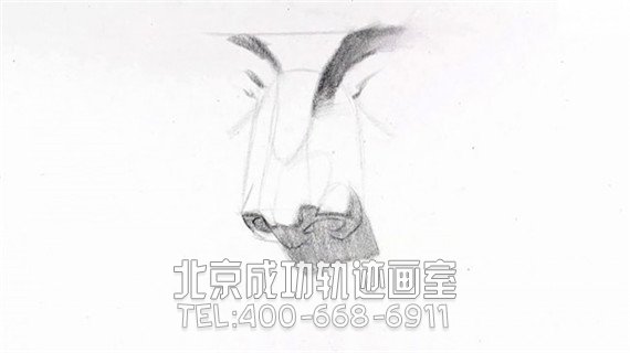 素描鼻子画法步骤图片教程