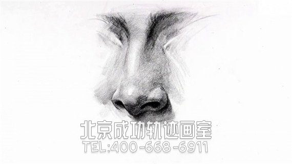 素描鼻子画法步骤图片教程