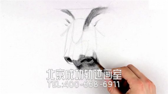 素描鼻子画法步骤图片教程