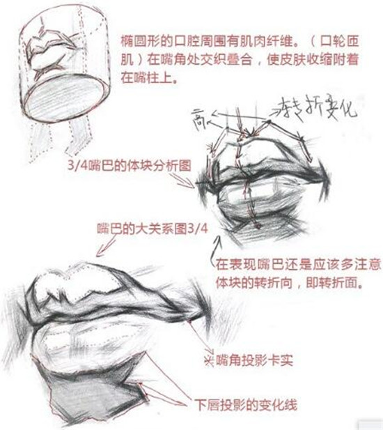 素描入门素描嘴巴精讲教程